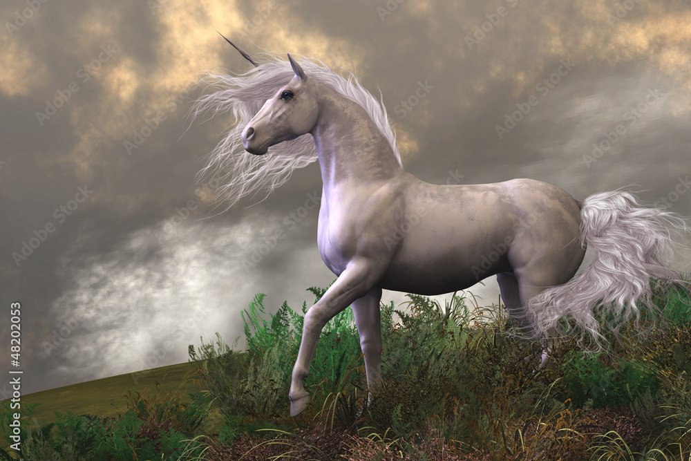 The First Impression of Unicorndelight88